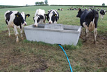 Fast Flow Troughs