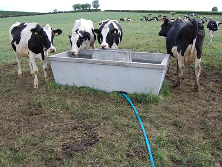 Fast Flow Troughs